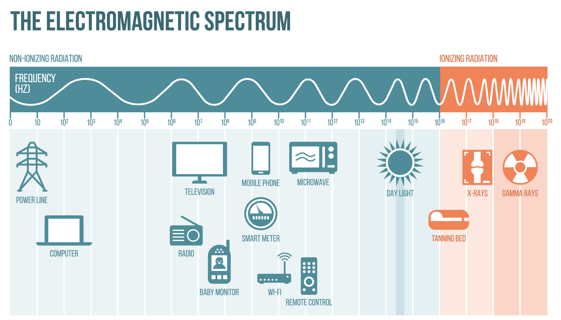 Electromagnetic Spectrum.png