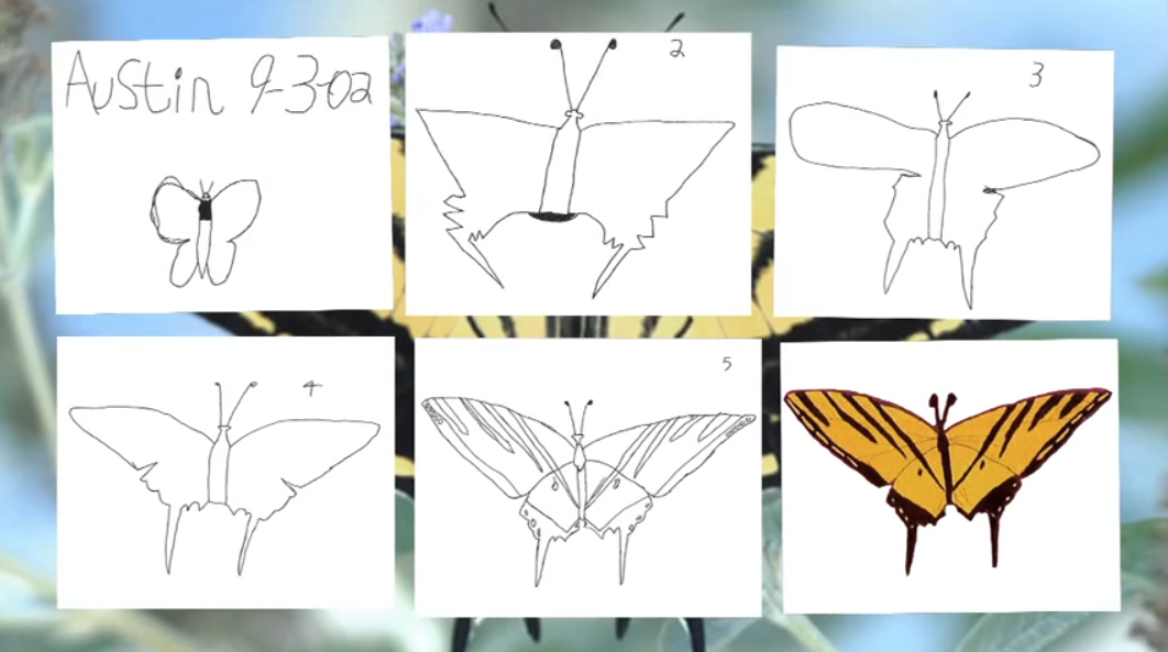 austins-butterfly.png