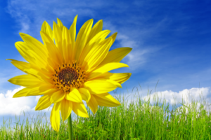 On Target for 2016: What’s New in Teamcenter