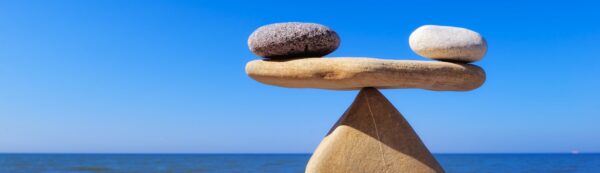 Weight and Balance – Plan, Track and Meet Design-to-Target Objectives