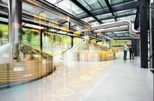 Surviving the New Competitive Landscape in Food and Beverage