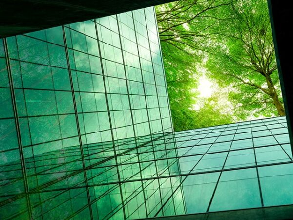 Where digital transformation meets sustainable innovation