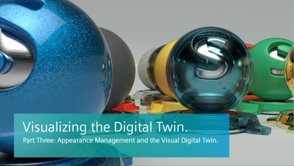 Appearance Management and the Visual Digital Twin