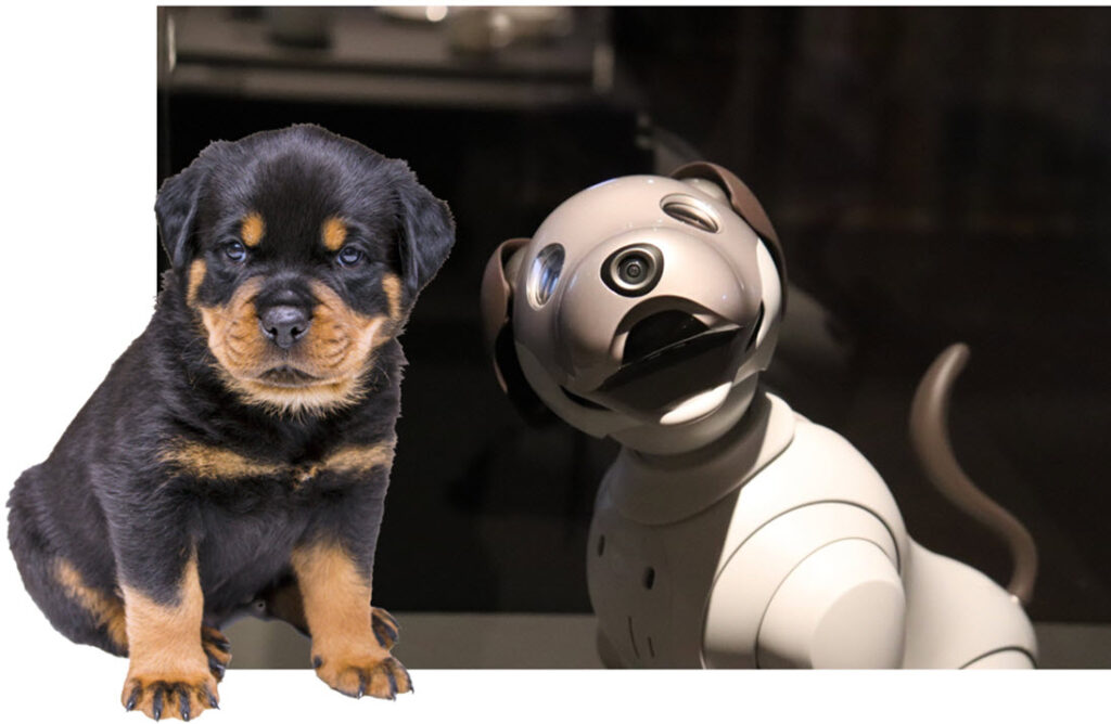 Is AI going to the dogs? Thought Leadership