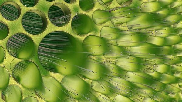 Parallels between the IC and computational fluid dynamics worlds