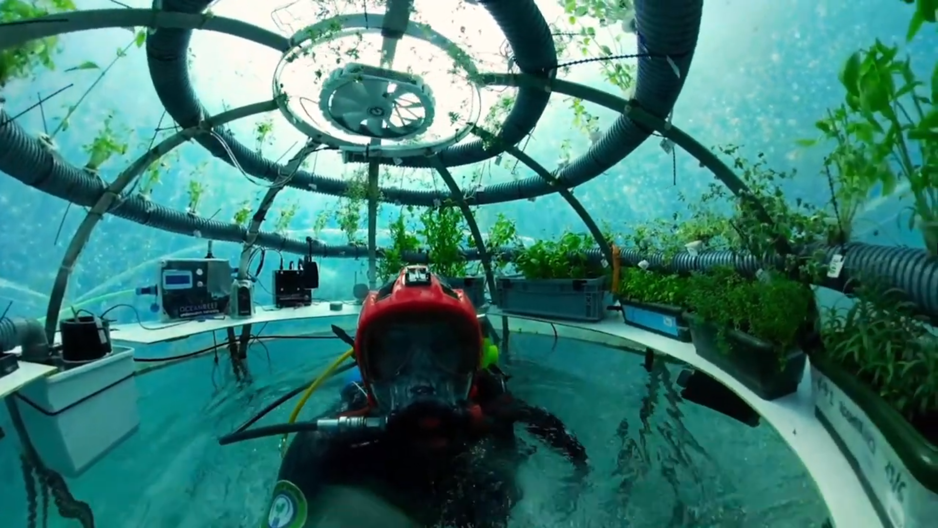 Nemo's Garden has digitalized their solution with help from Siemens to grow plants underwater