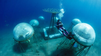 Nemo's Garden underwater farming biospheres with a diver