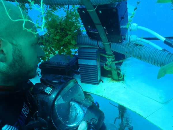 Diver checking on the biosphere monitoring system