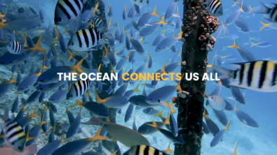 School of fish with overlaid phrase "The ocean connects us all"