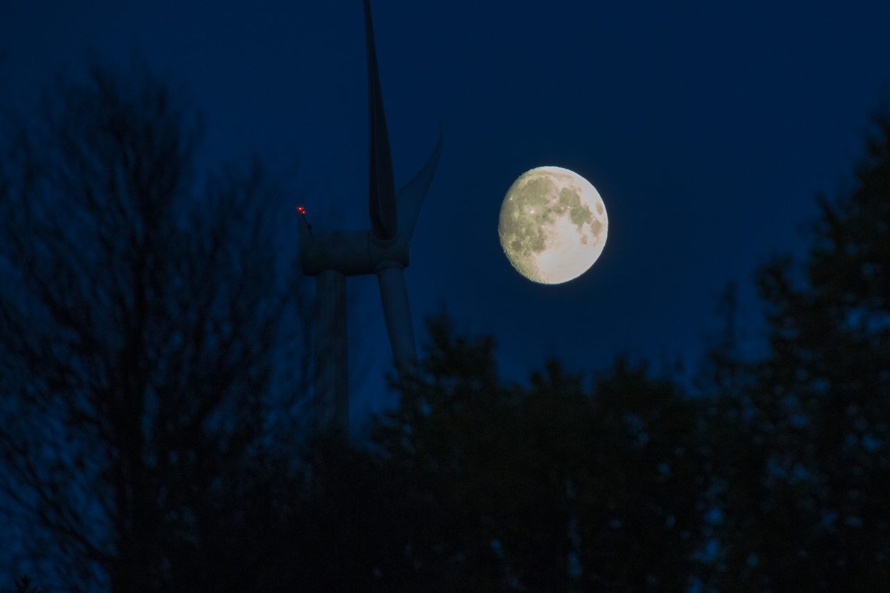 The moon over a forest at night.