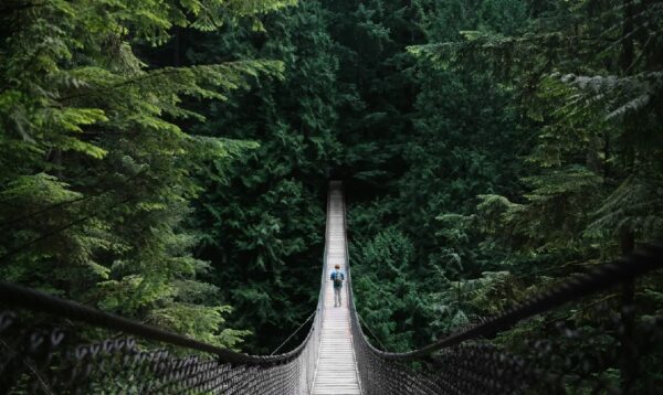 Sustainability: the journey and the goal