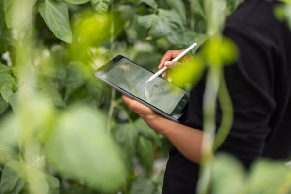 Sustainability in action: Why companies are prioritizing a greener future