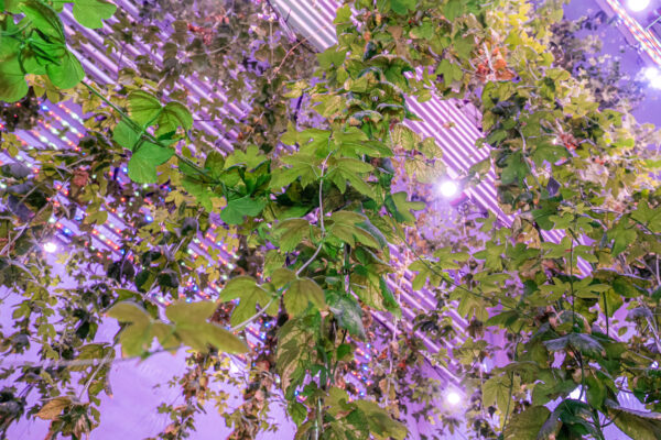 Real + Digital Drives Production and Supply Chain Sustainability