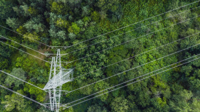 Aerial view of power lines trailing above a forest.