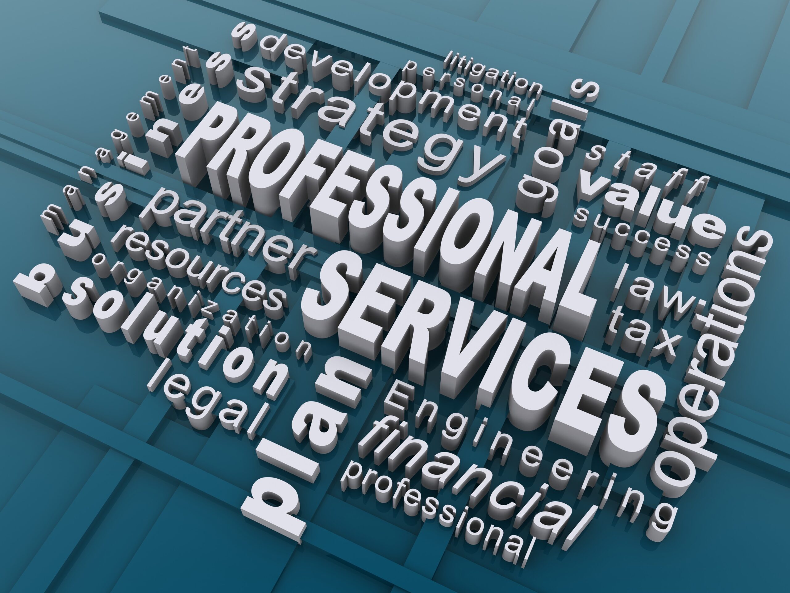 A word cloud with the Professional Services highlighted