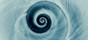 A picture of a spiral seashell