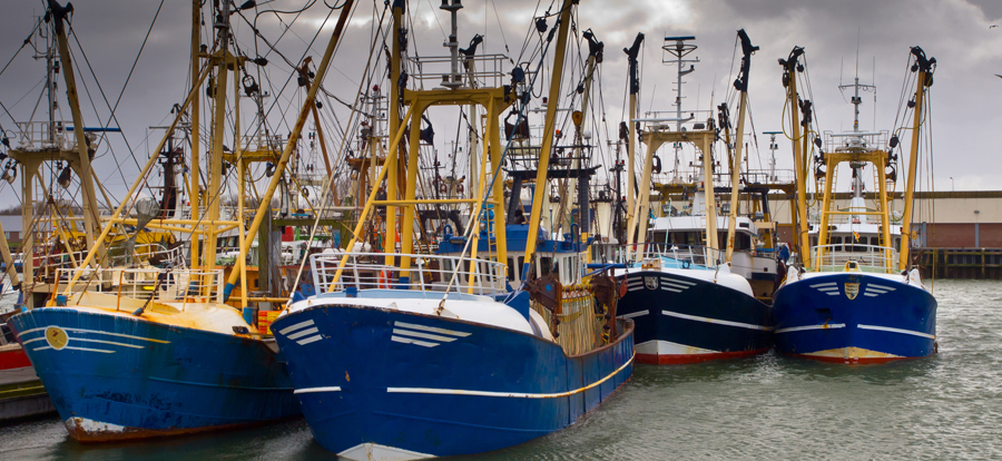 A fleet of ships in harbor