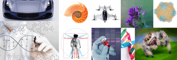 From Spider-Man to Spidey Tek: How Roberto Velozzi is Spinning the Future of Sustainable Materials