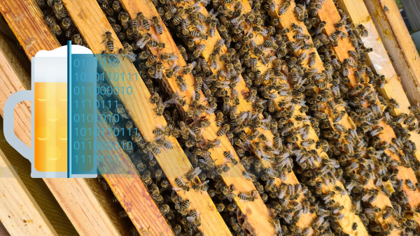 Hidden industrial AI secrets from beer, bees and more