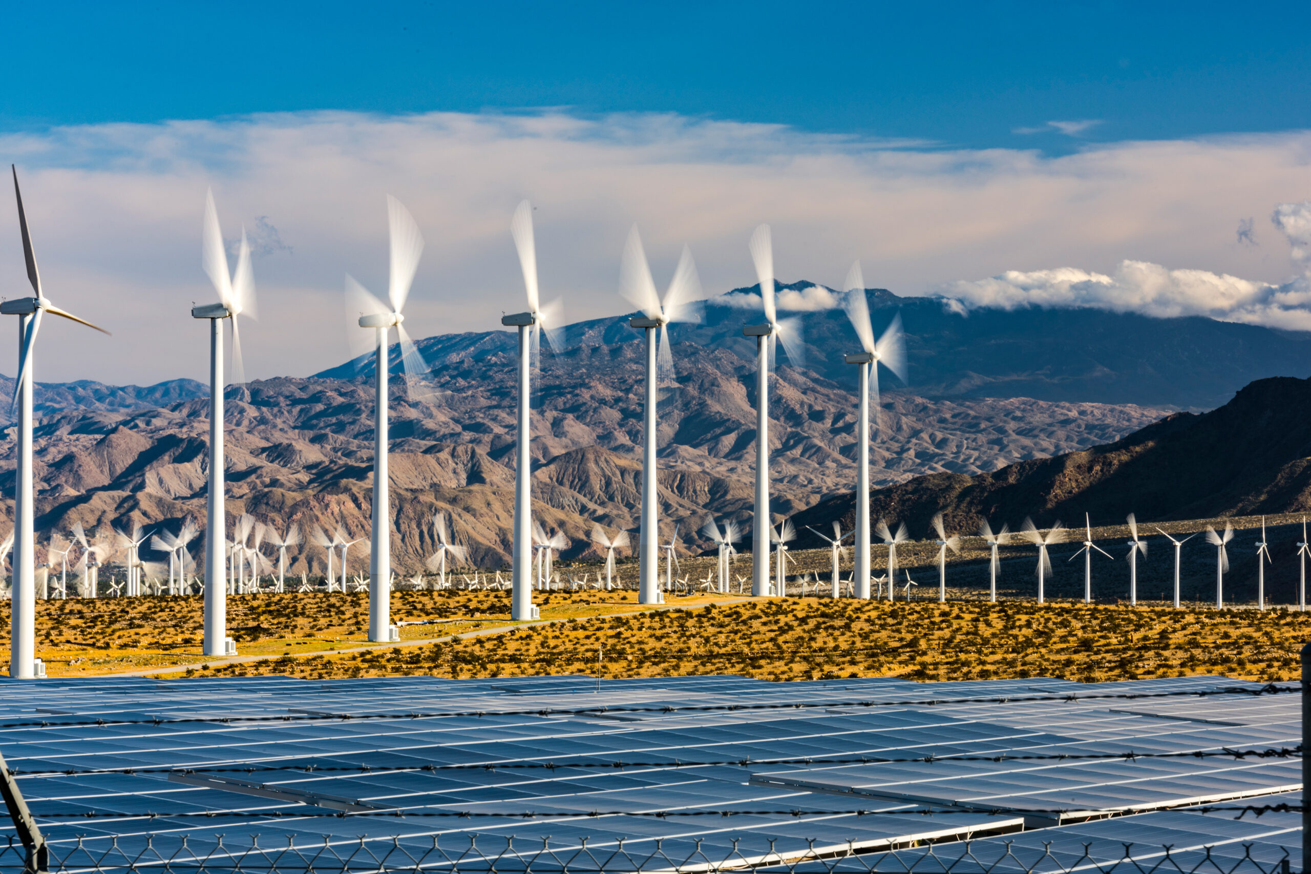 Wind farm with solar panels