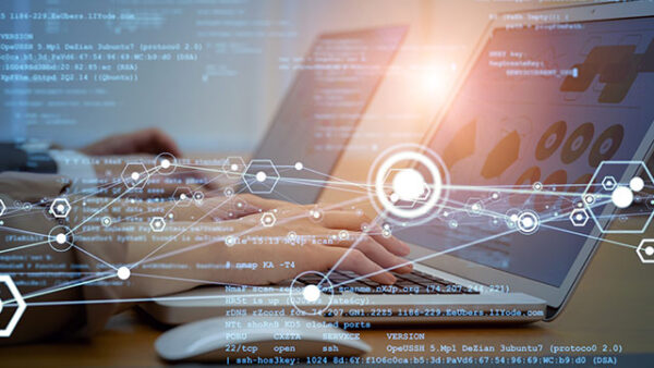 What is the Live approach to software development?