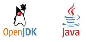 Whys & Wherefores behind Support for Open JDK 11