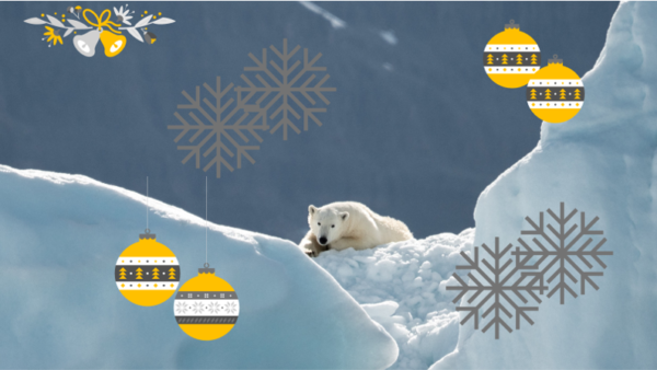 Digital Polarion Advent Calendar 2021