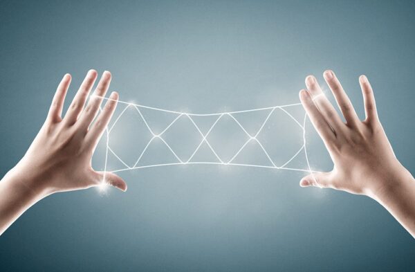 The bridge to innovation