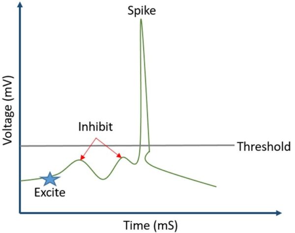Article Roundup: Calibre nmLVS-Recon to streamline IC circuit verification, Design and verify 5G systems – Part 1, Running With O-RAN, AV Transformation Design and Verification Turbocharges OEMs, Mapping Neurons to a Model