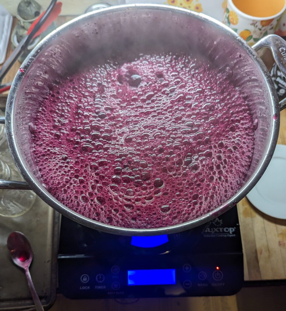 Boiling Cauldron of Grape Juice