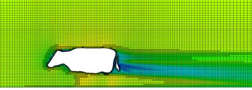 AdaptiveOctreeMesh