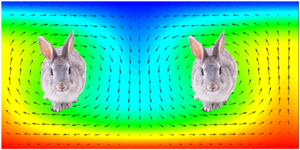 Chaotic Fluid Dynamics Part 1 – Rabbits