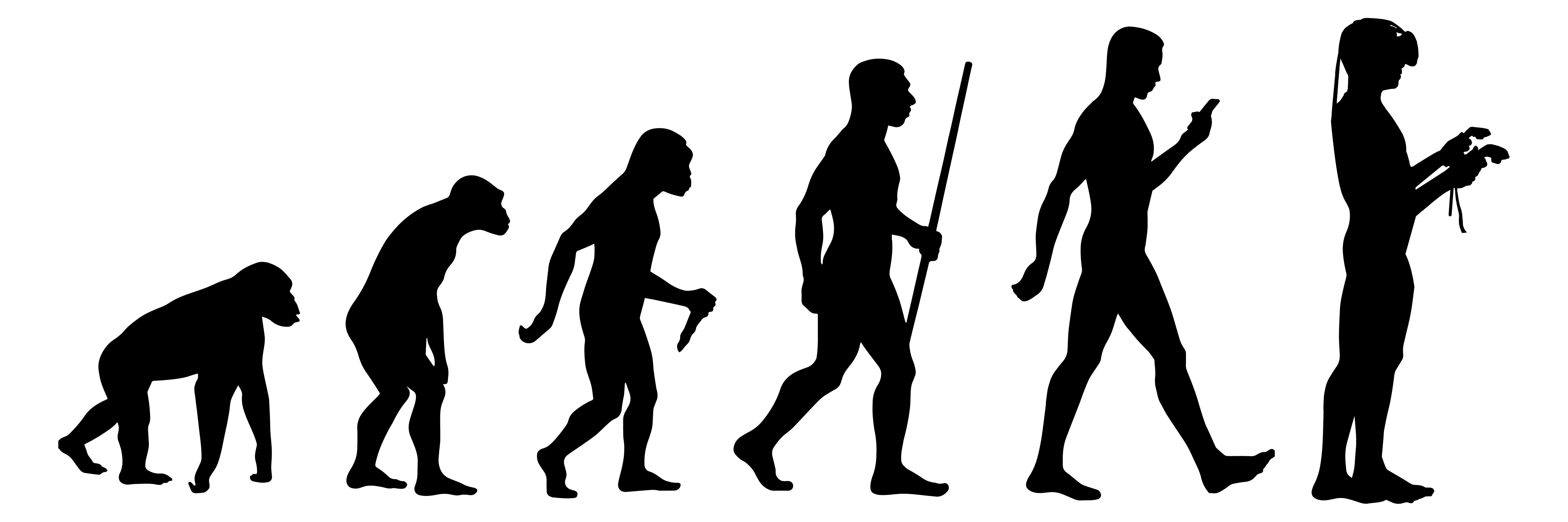 Evolution vr 2024