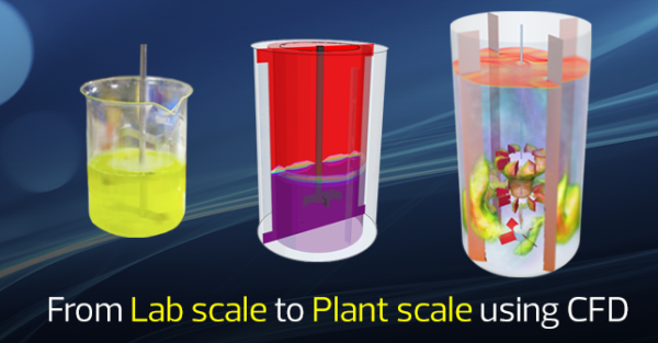 From Lab Scale to Plant Scale using Simulation