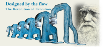 Designed by the flow – The Revolution of Evolution