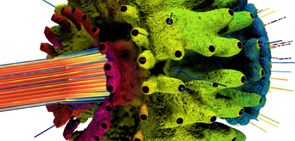 Intelligent Design Exploration and CFD- engineering better than nature