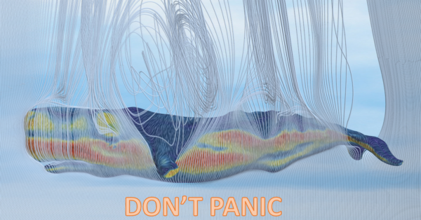 Towel Day: The Aerodynamics of Freefalling Sperm Whale