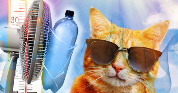 How to stay cool in the summer