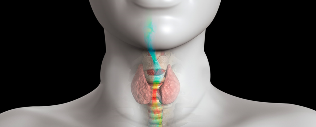 simulation for medical devices