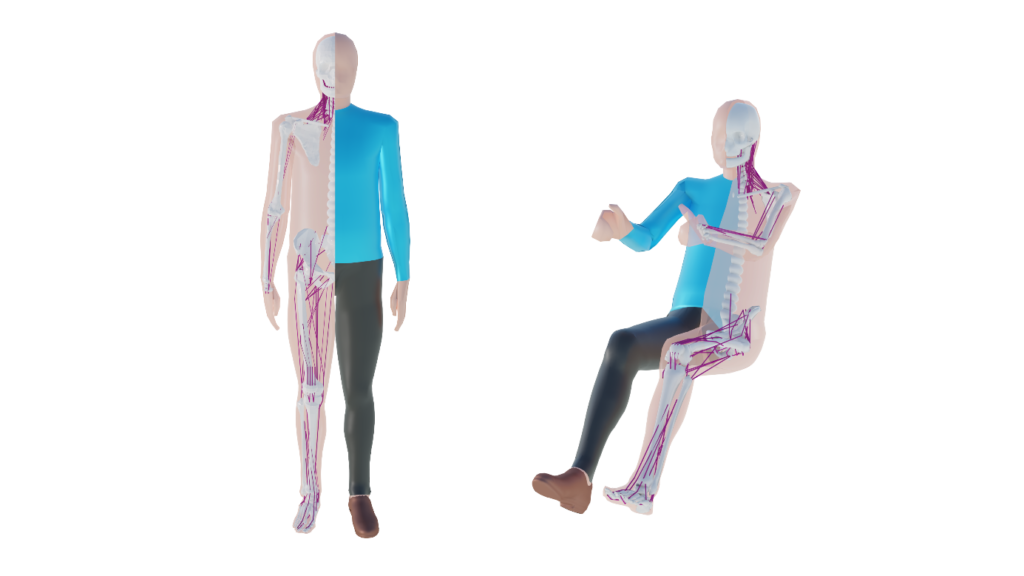 Figure 4: The Active Human Model can maintain its posture during a crash event, more accurately reflecting the behavior of real people.