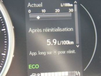 Lexus displayed fuel consumption