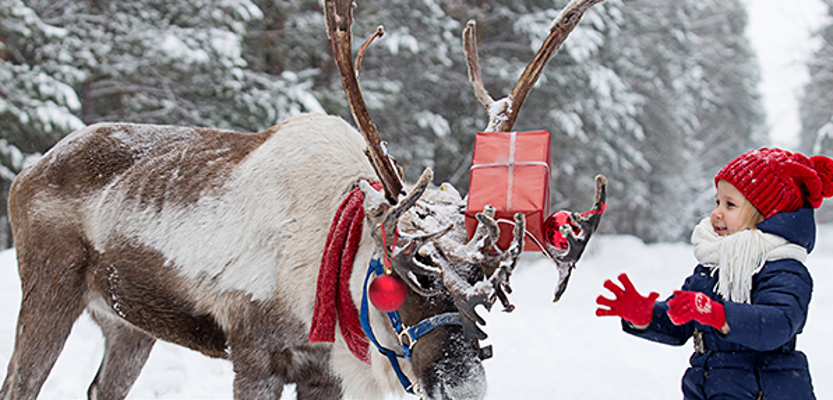Reindeer delivering present to child