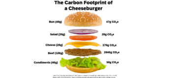 Engineering the low-carbon, cruelty-free, lab-grown hamburger of the future