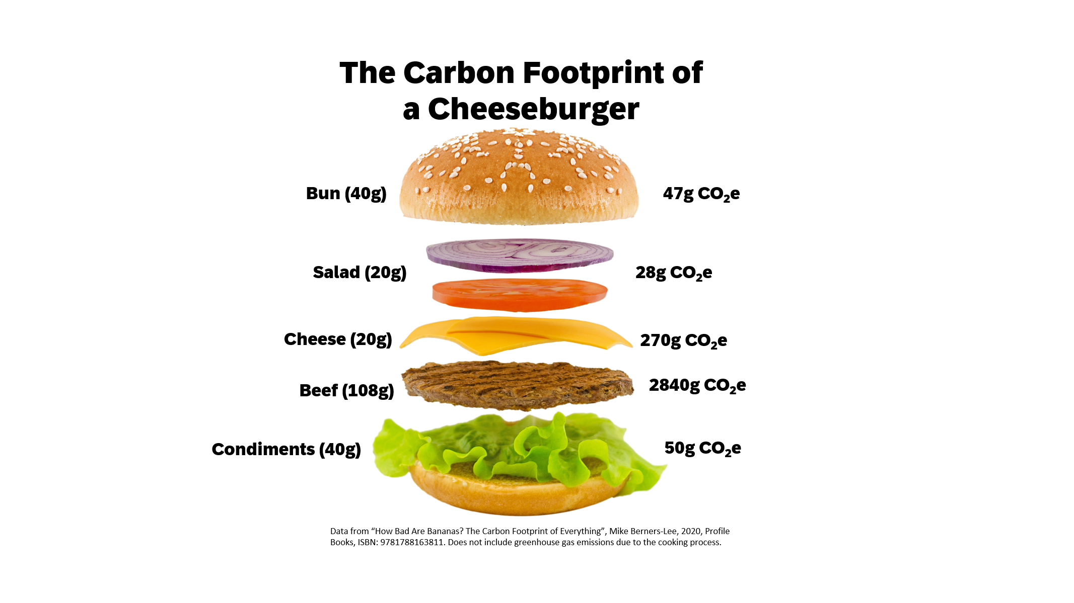 Carbon Footprint of a Hamburger