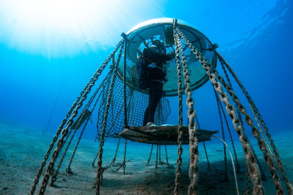 In the dome of Nemo's Garden