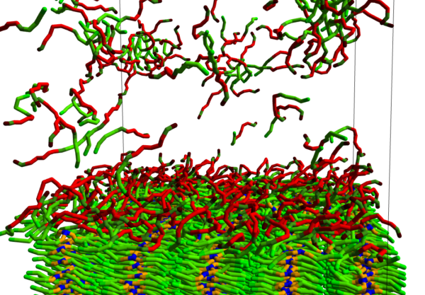 Efficient laundry washing at 30°C – Designing low-temperature detergents with Computational Chemistry