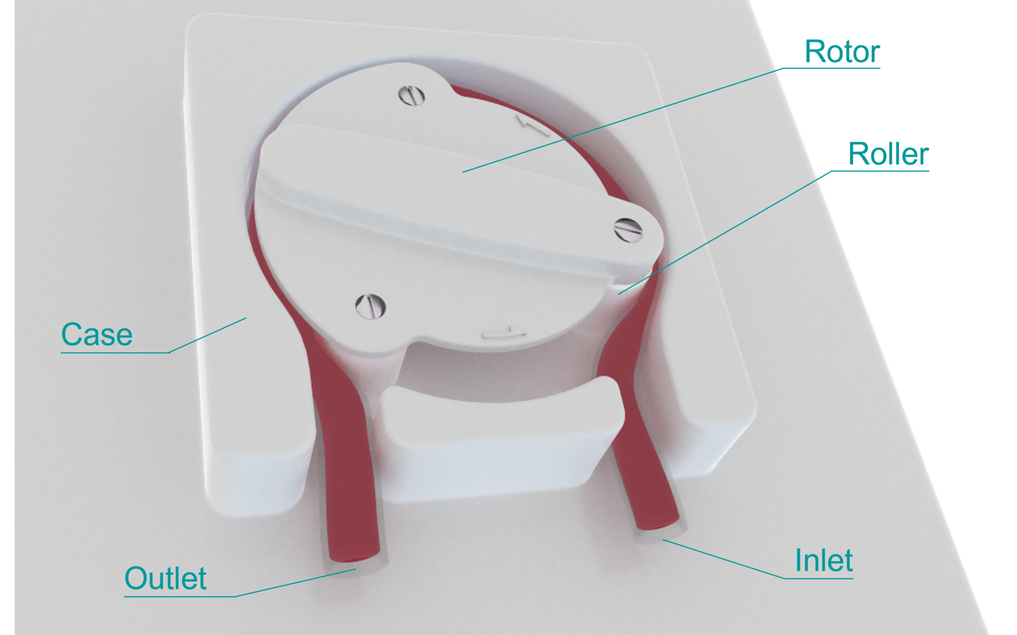 Peristaltic pump FSI simulation for safer dialysis Trustworthy from