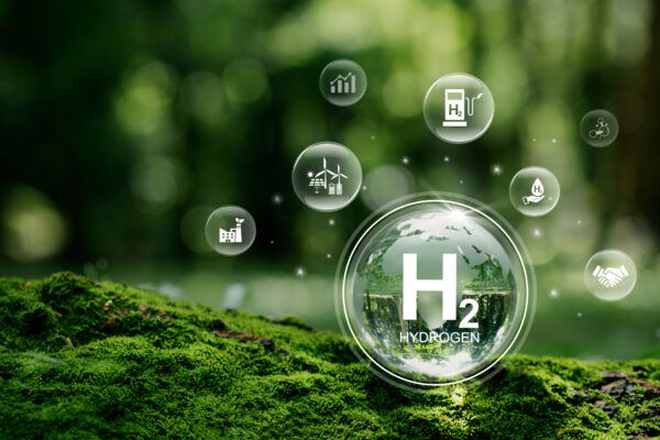 Green energies and hydrogen: Using simulation to design systems and coupling the system model to the PLC for control evaluation
