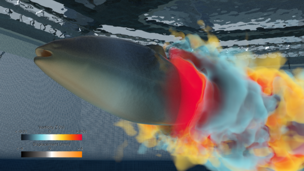 Aker Solutions creates fish farms that put fish first