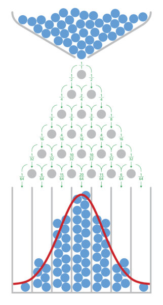 Galton Board with distribution of ball in bell curve